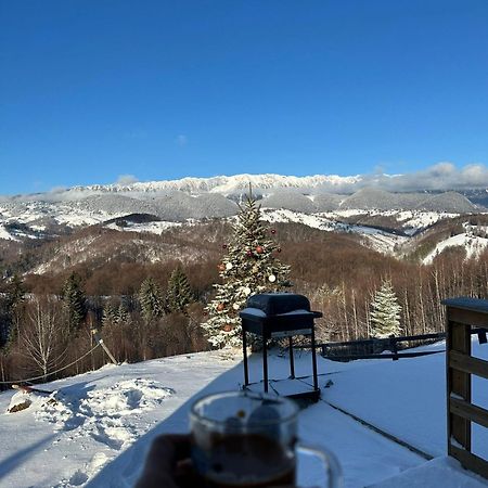 Cabanuta Din Munti Hotel Moieciu de Jos Exterior foto