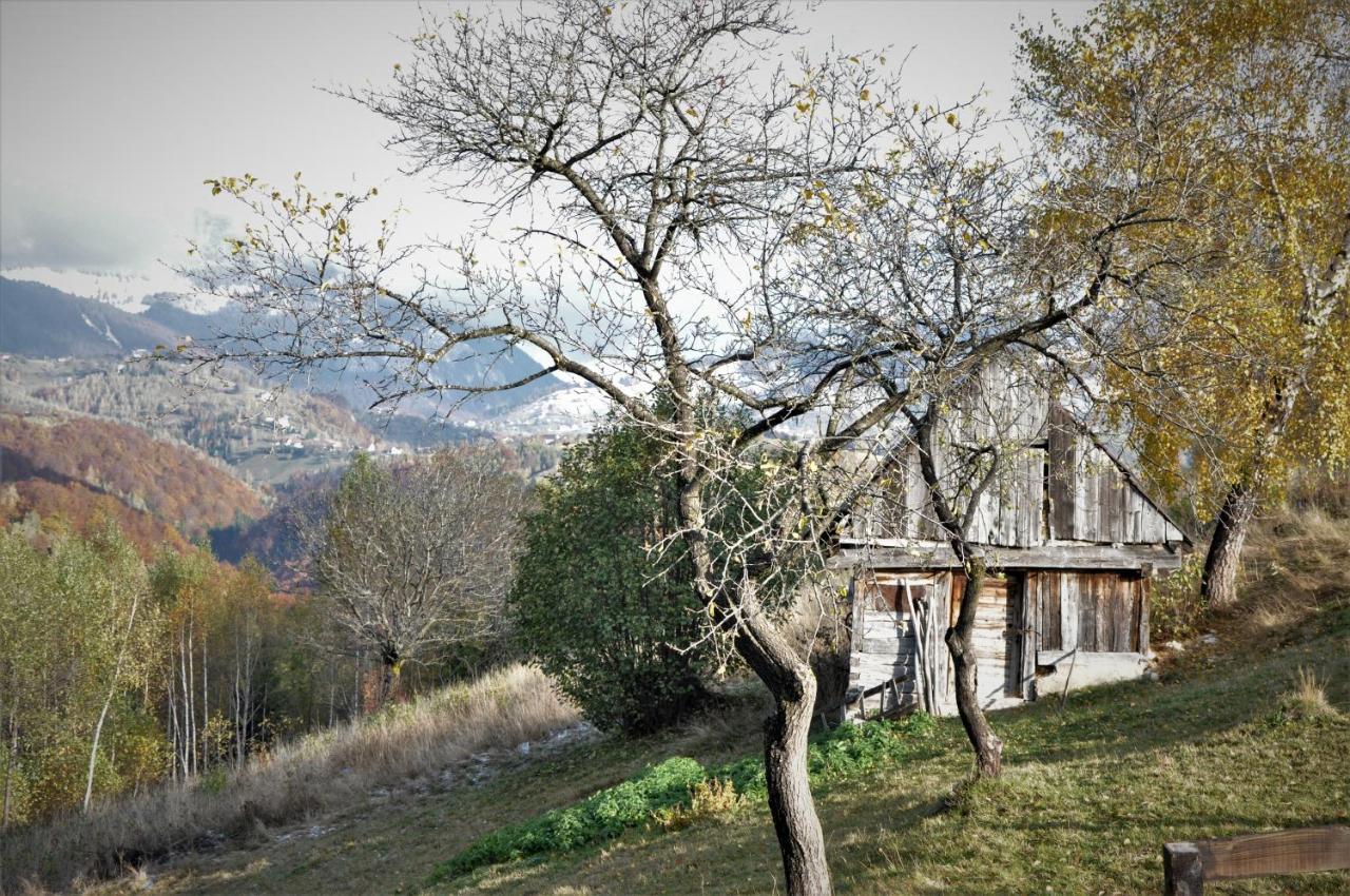 Cabanuta Din Munti Hotel Moieciu de Jos Exterior foto