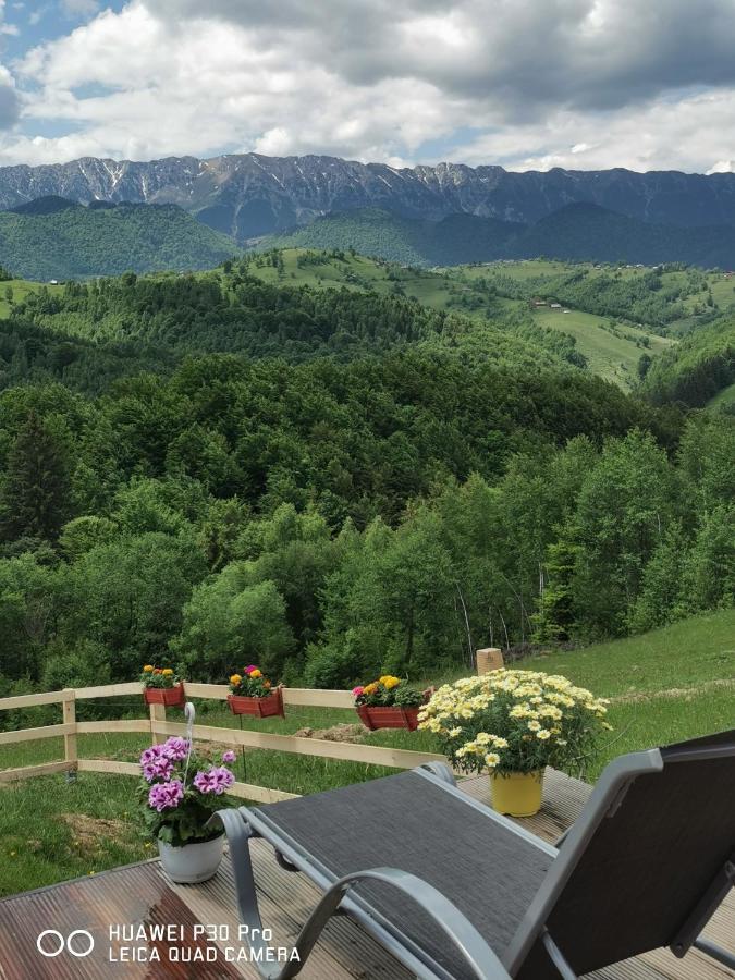 Cabanuta Din Munti Hotel Moieciu de Jos Exterior foto