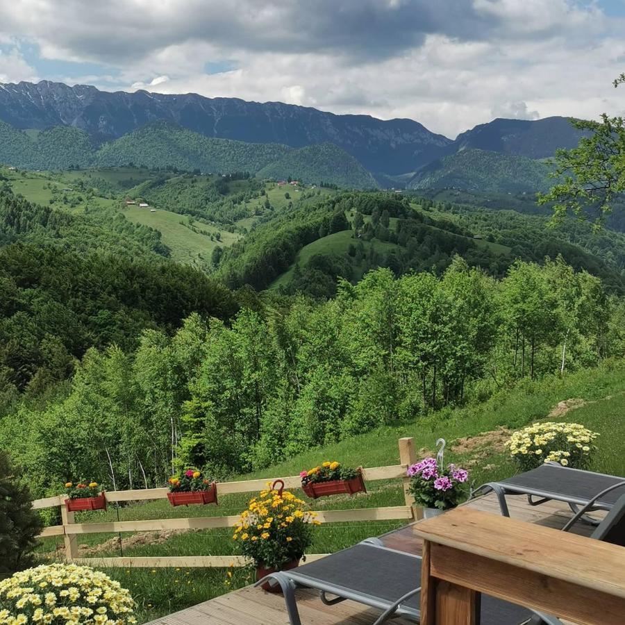 Cabanuta Din Munti Hotel Moieciu de Jos Exterior foto
