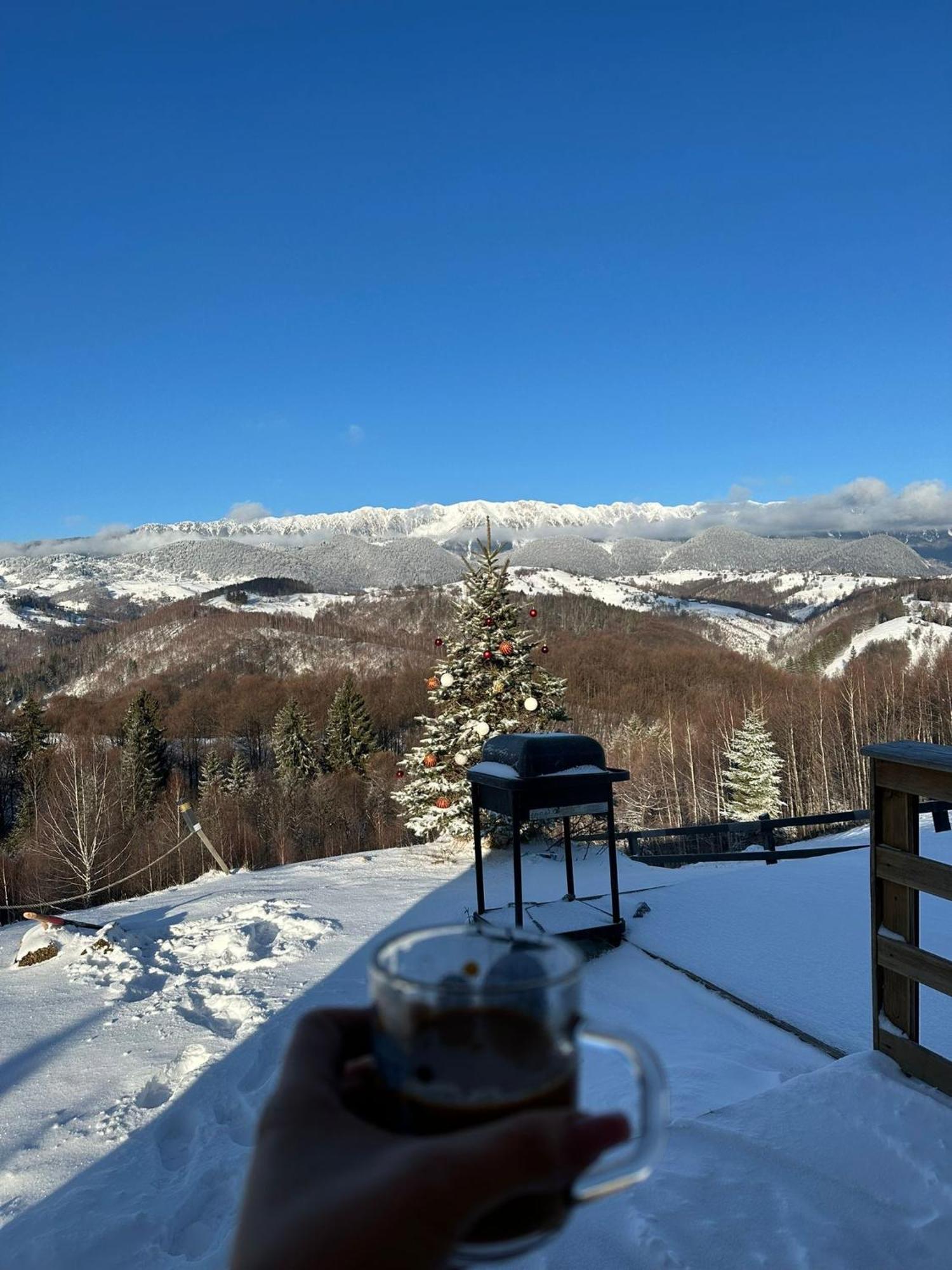 Cabanuta Din Munti Hotel Moieciu de Jos Exterior foto