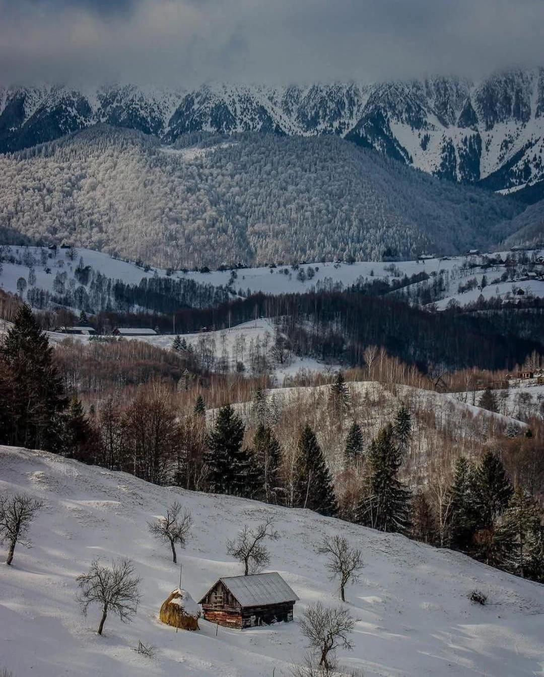 Cabanuta Din Munti Hotel Moieciu de Jos Exterior foto